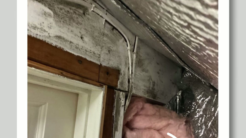 Before After Reel Mold